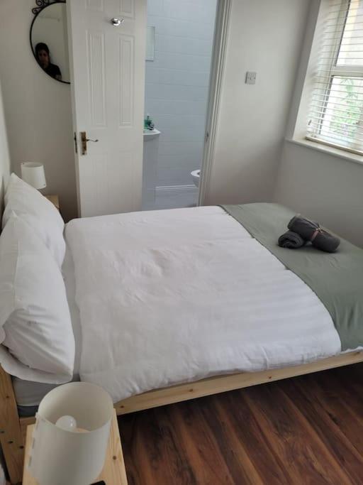 Stylish 4 Bedroom Dublin House Esterno foto